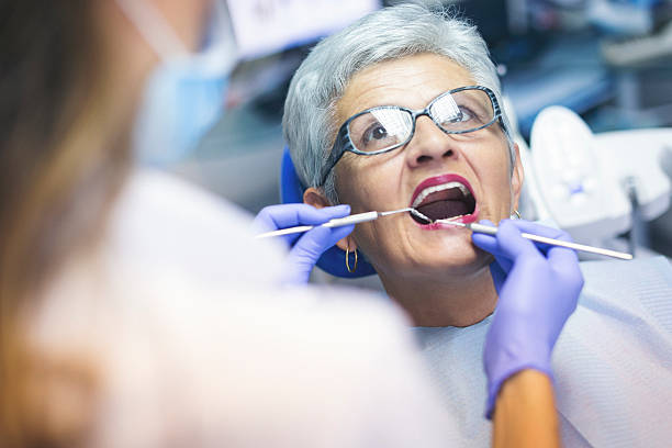 Berryville, VA Dental Services Pros